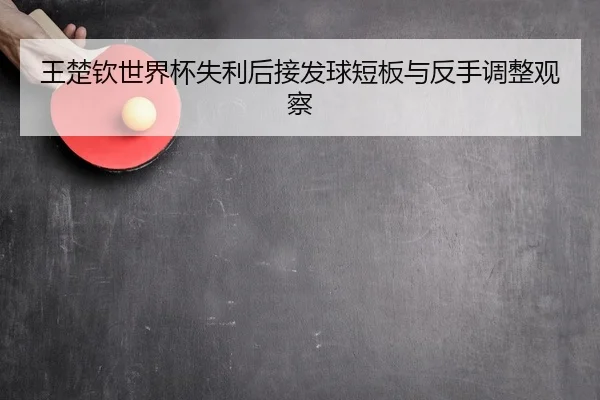 王楚钦世界杯失利后接发球短板与反手调整观察